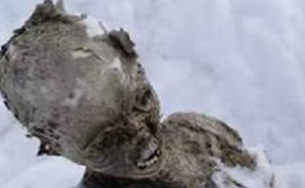 Descubren posible identidad de momias congeladas del Pico de Orizaba