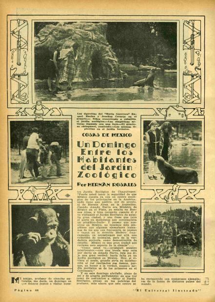 El zoológico antes de Bantú