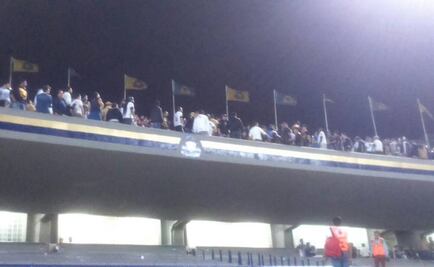 Video. Bronca en CU tras eliminación puma