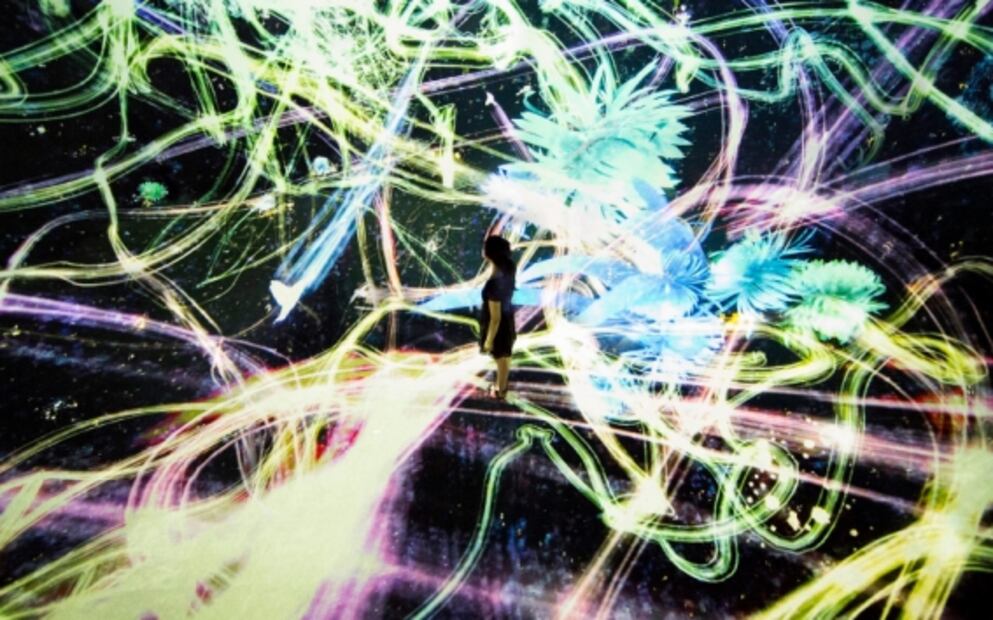 Esta es la alberca más famosa del mundo