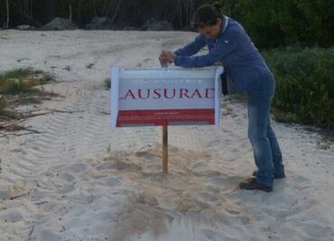Clausura Profepa relleno de manglar en Cancún