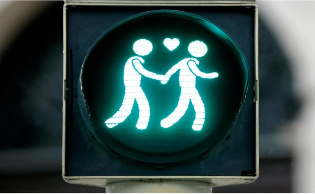 A gay-themed traffic light is pictured in Vienna, Austria - Photo: Leonhard Foeger/REUTERS
