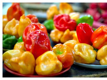 Lo que no sabías del habanero