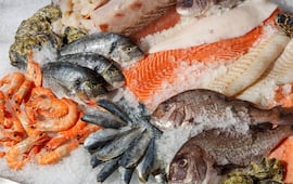 Canaco Mérida alerta por consumo de mariscos en mal estado; calor eleva riesgos sanitarios, destaca