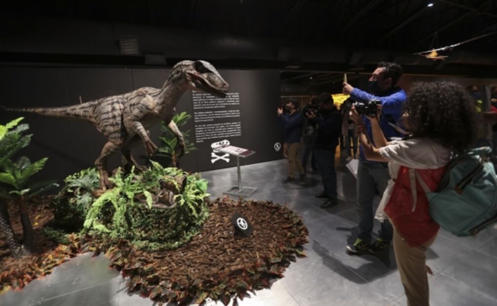 ¡Exposición de altura! Llegan los dinosaurios al Centro Cultural Toluca y esto es lo que debes saber 