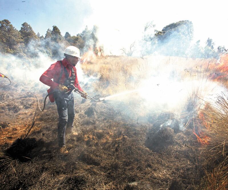 De acuerdo con el reporte semanal nacional de incendios forestales, el Estado de México ha reportado mil 137 incendios, con 9 mil 33 hectáreas afectadas. Foto: Archivo El Universal