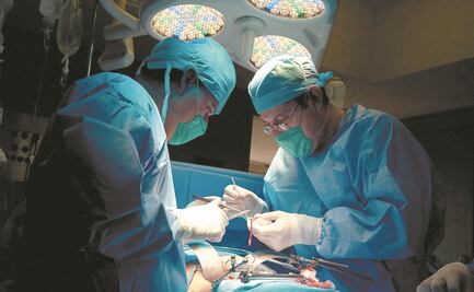 Piden que Cenatra pueda reglamentar los  transplantes