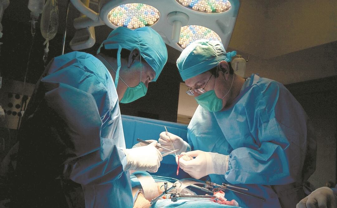 El Cenatra no tiene facultad expresa para dar normas en su especialidad, detallan. Foto: Archivo. El Universal