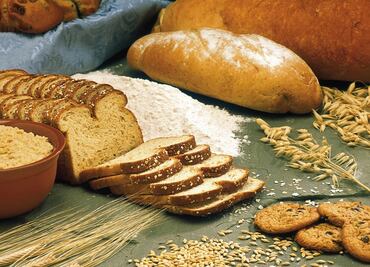 Todo lo que debes de saber sobre los cereales