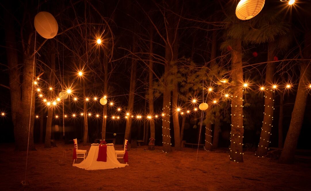 Foto: Cortesía Canto del Bosque