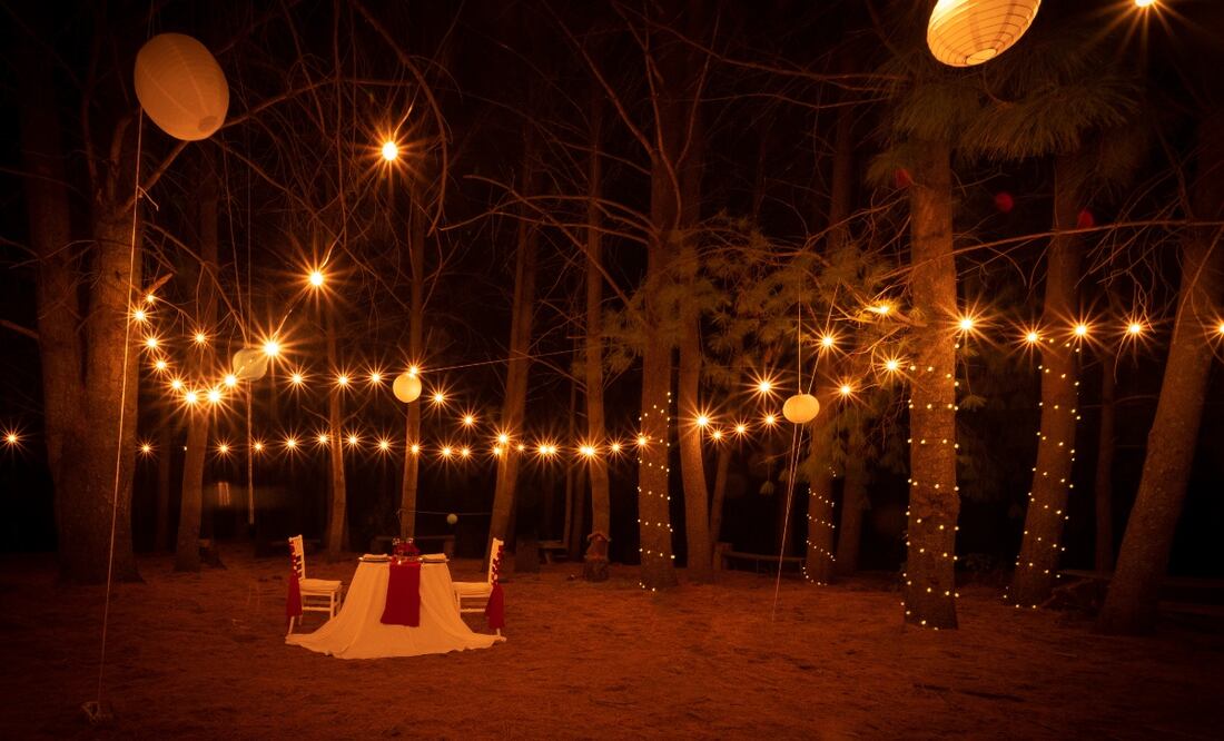 Foto: Cortesía Canto del Bosque