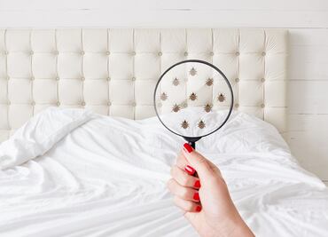 Cómo saber si la cama de tu hotel tiene chinches