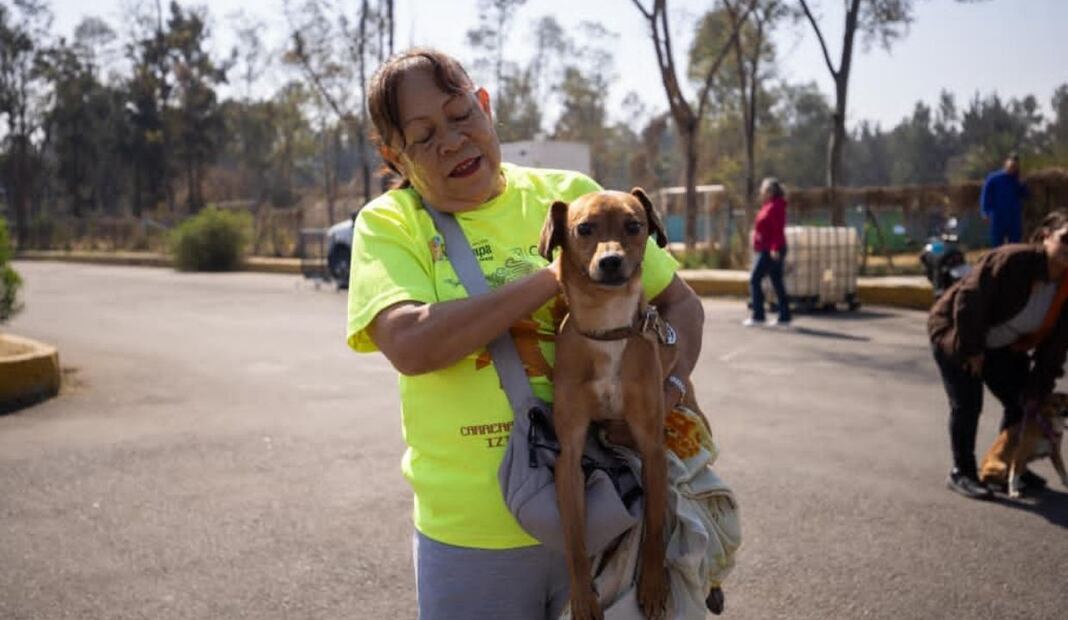 Clara Brugada lanza mega jornada de esterilización en CDMX; meta es 150 mil cirugías gratuitas en 2026. Foto: Especial