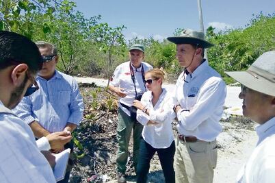 Profepa detecta en Holbox 36 desarrollos irregulares