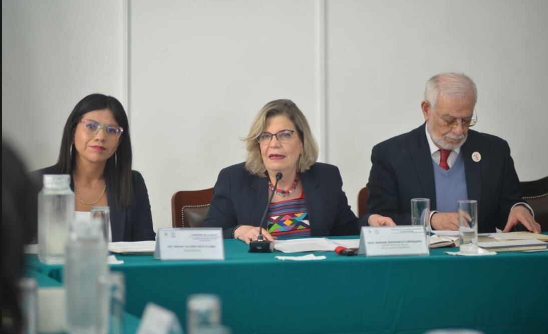 Nadine Gasman Zylbermann, secretaria de Salud Pública, afirmó que el próximo año se avanzará en la integración del sistema único de salud para la Ciudad de México. Foto: especial