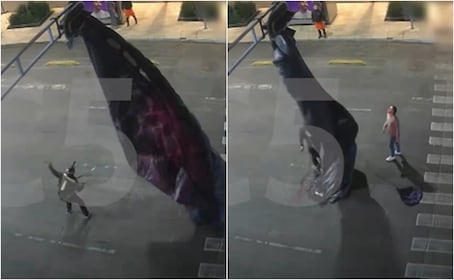 “Caída surrealista en CDMX”: Paracaidista extranjero aterriza… ¡encima de un semáforo en Av. Juárez!