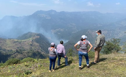 Nuevo incendio forestal afecta zona boscosa de Veracruz