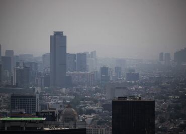 Exposición a la contaminación atmosférica en la niñez, posible causante de la depresión y la ansiedad