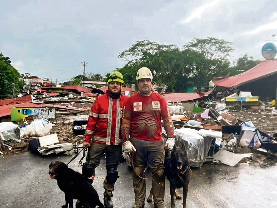 Soly (izq.) y Mozku (der.) cumplieron una riesgosa misión el pasado 24 de julio pasado en el norte de Costa Rica, al rastrear
desaparecidos con sus guías de la Cruz Roja Costarricense. Foto: Cruz Roja de Costa Rica
