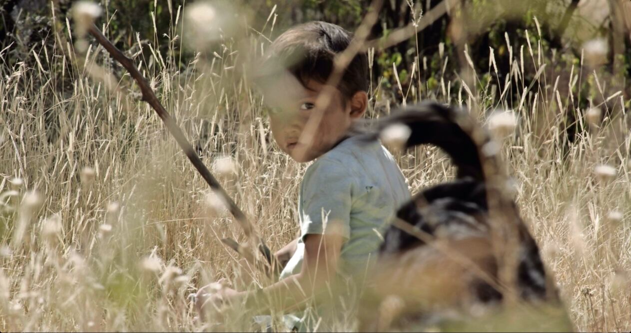El filme Sujo, dirigido por Astrid Rondero y Fernanda Valadez, fue seleccionado en el Festival de San Sebastián para recibir el reconocimiento dotado con 10 mil euros