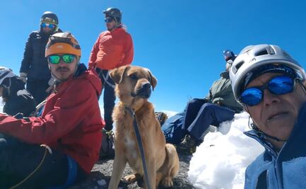 Alpinistas rescatan a Canelo, perrito perdido por varios días en el Pico de Orizaba