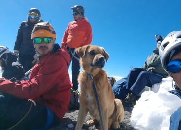 Alpinistas rescatan a Canelo, perrito perdido por varios días en el Pico de Orizaba