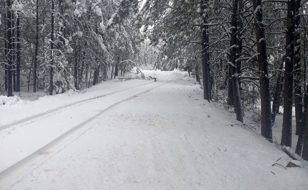 ¡Es México! Así la nieve cubre de blanco La Rosilla. Foto: Especial