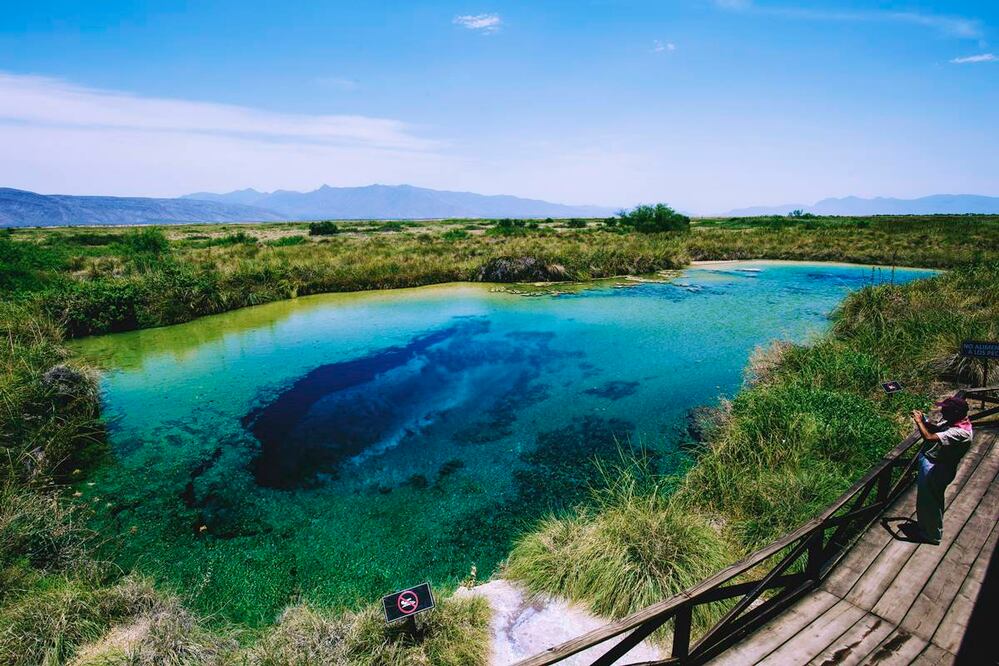 Foto: Esteban Torreblanca. EL UNIVERSAL