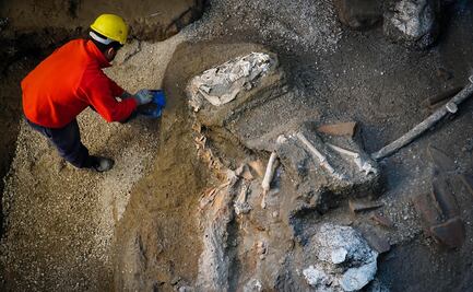 Descubren neuronas conservadas en cadáver de Pompeya