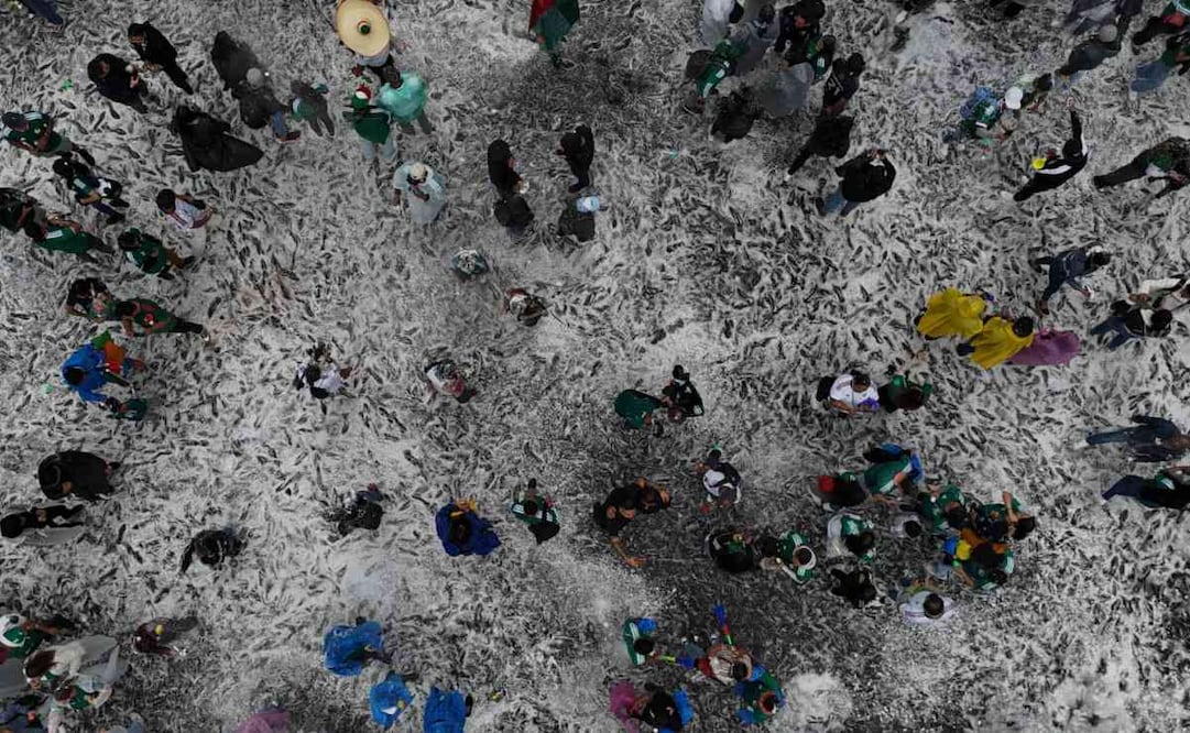Entre espuma y futbol; la Glorieta del Ahuehuete se tiñe de blanco previo al partido México vs Inglaterra.
Foto: Diego Prado / EL UNIVERSAL