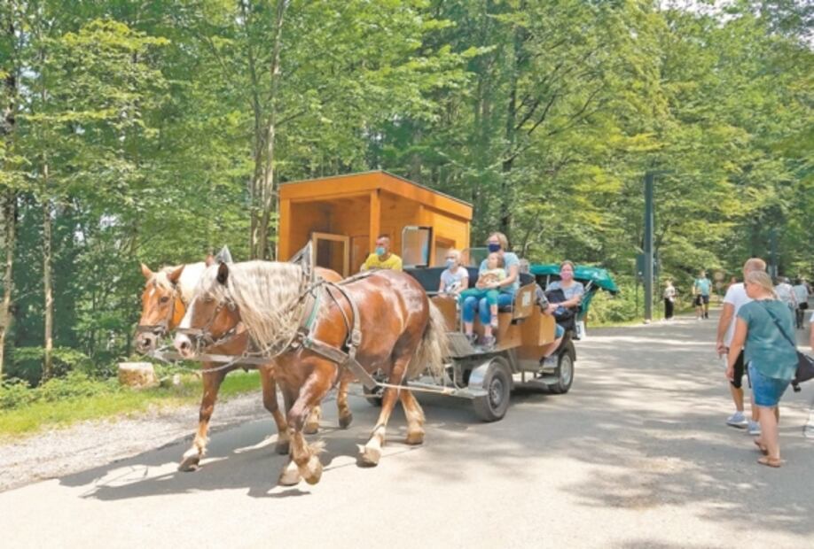 El "hechizo" anticovid de un castillo alemán