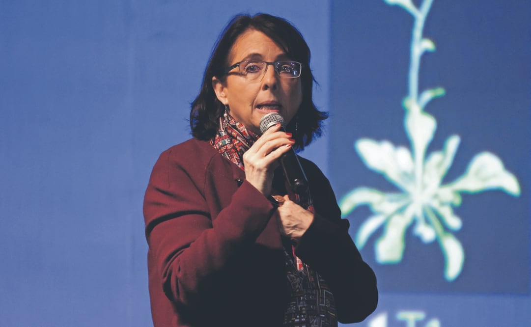 Como funcionaria el sexenio pasado, Álvarez-Buylla dio un contrato millonario a una empresa con la que tuvo una relación privada de negocios. Foto: de Carlos Mejía. El Universal