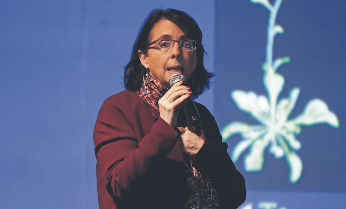 Como funcionaria el sexenio pasado, Álvarez-Buylla dio un contrato millonario a una empresa con la que tuvo una relación privada de negocios. Foto: de Carlos Mejía. El Universal