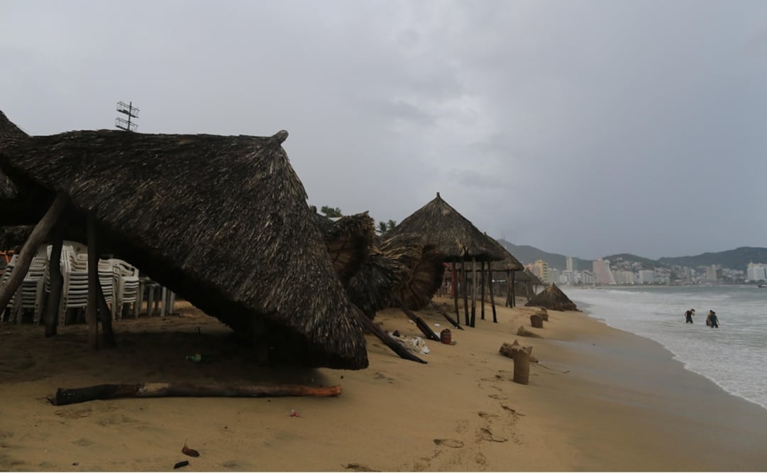 (Foto: EFE/David Guzmán)