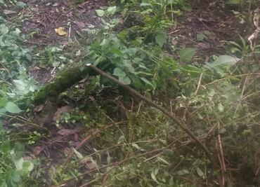 Hallan cadáver desnudo y apuñalado en Los Dinamos