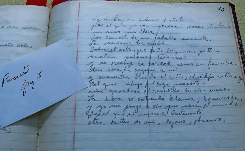 Foto: Fernanda Rojas / EL UNIVERSAL