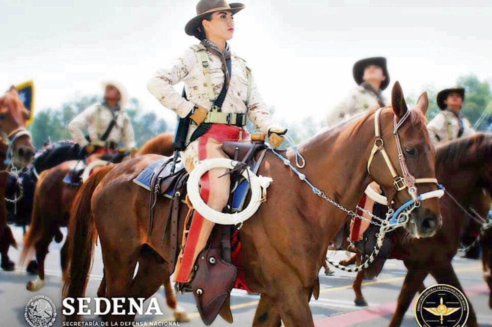 La Secretaría de la Defensa Nacional puso a la venta 298 caballos y dos asnos, así como diversos vehículos, una carabina, un tomógrafo y una motoescrepa. Foto: ESPECIAL