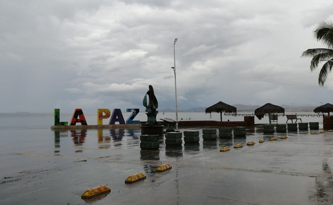 Foto: Gladys Navarro / EL UNIVERSAL