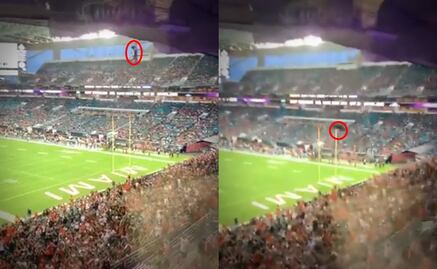 VIDEO: Aficionados evitan la muerte de un gato en pleno partido de futbol americano