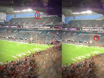 VIDEO: Aficionados evitan la muerte de un gato en pleno partido de futbol americano