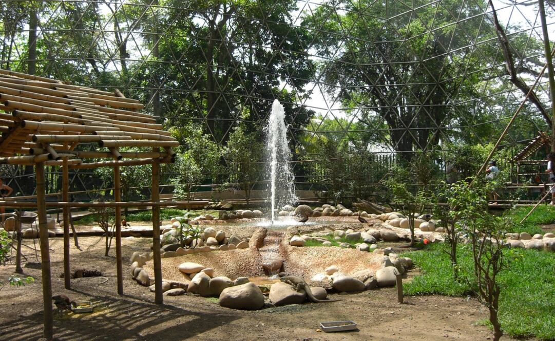 Foto: Cortesía INAH