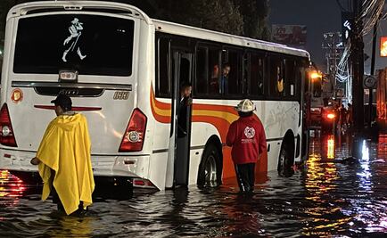 Lluvias provocan inundaciones y caídas de árboles en Tlalnepantla
