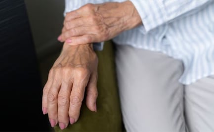 El tipo de insecto que se convierte en alimento y se usa también para tratar la artritis