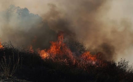 Trump acusa de "incompetentes" a políticos por incendios en Los Ángeles; fuego arrasa con 15 mil hectáreas
