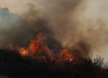 Trump acusa de "incompetentes" a políticos por incendios en Los Ángeles; fuego arrasa con 15 mil hectáreas