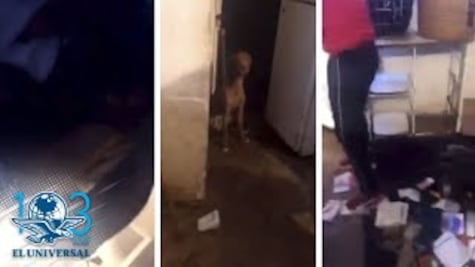 Denuncian a mujer por presuntamente comer y vender carne de perro y gato en Puebla