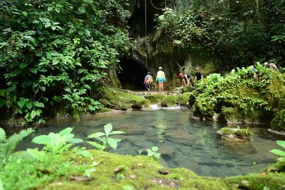¿Por qué la naturaleza nos hace bien a la salud?; esto dice la ciencia 