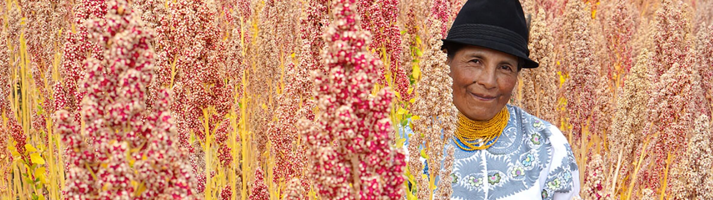 Foto: Montrade Quinotto 