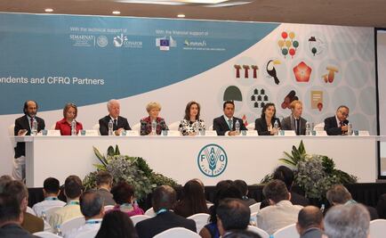 México, clave en conservación de recursos forestales: FAO