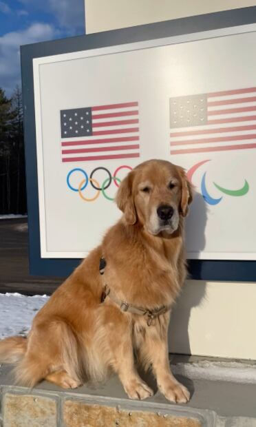 FOTO: goldendogbeacon